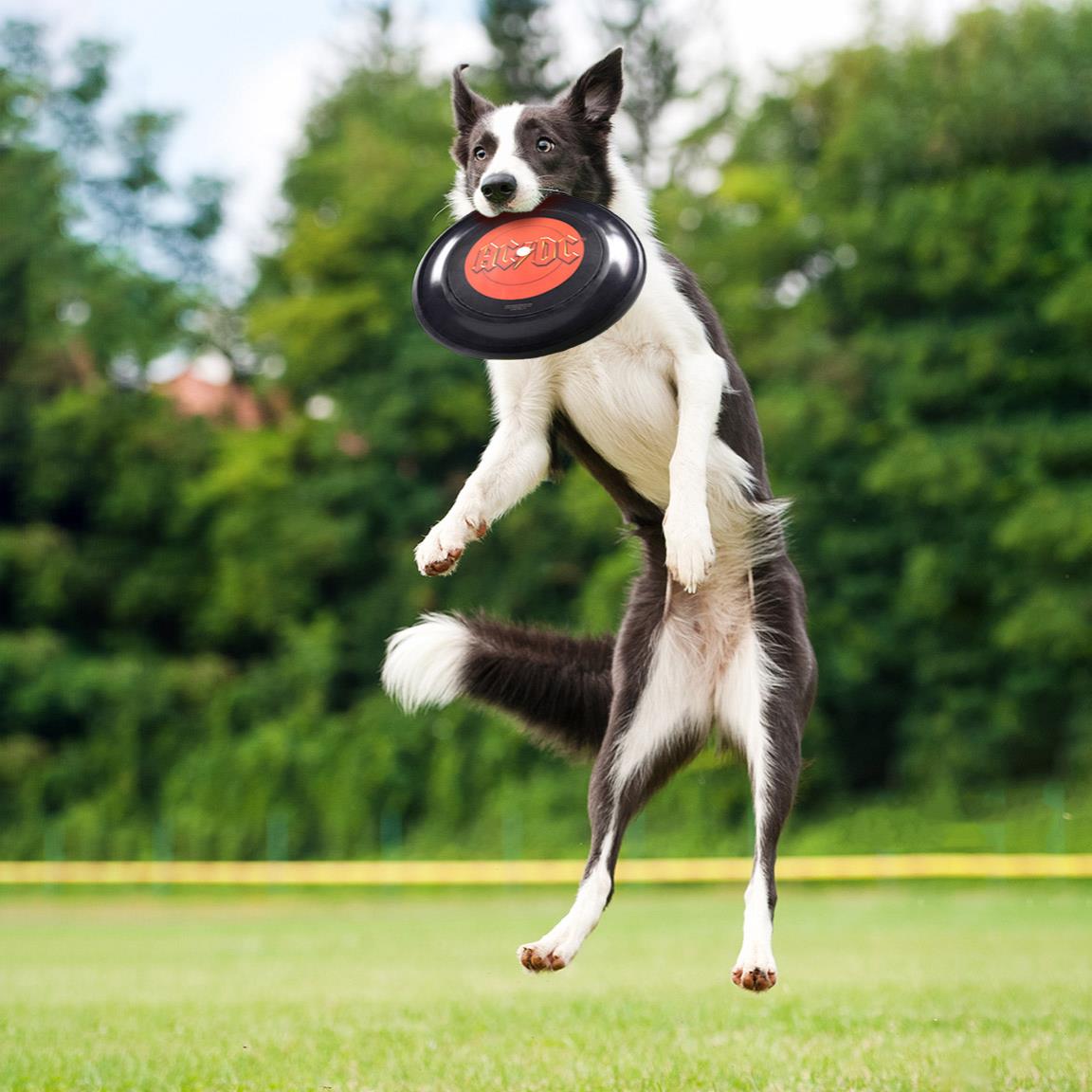 Frisbee pentru caini AC/DC