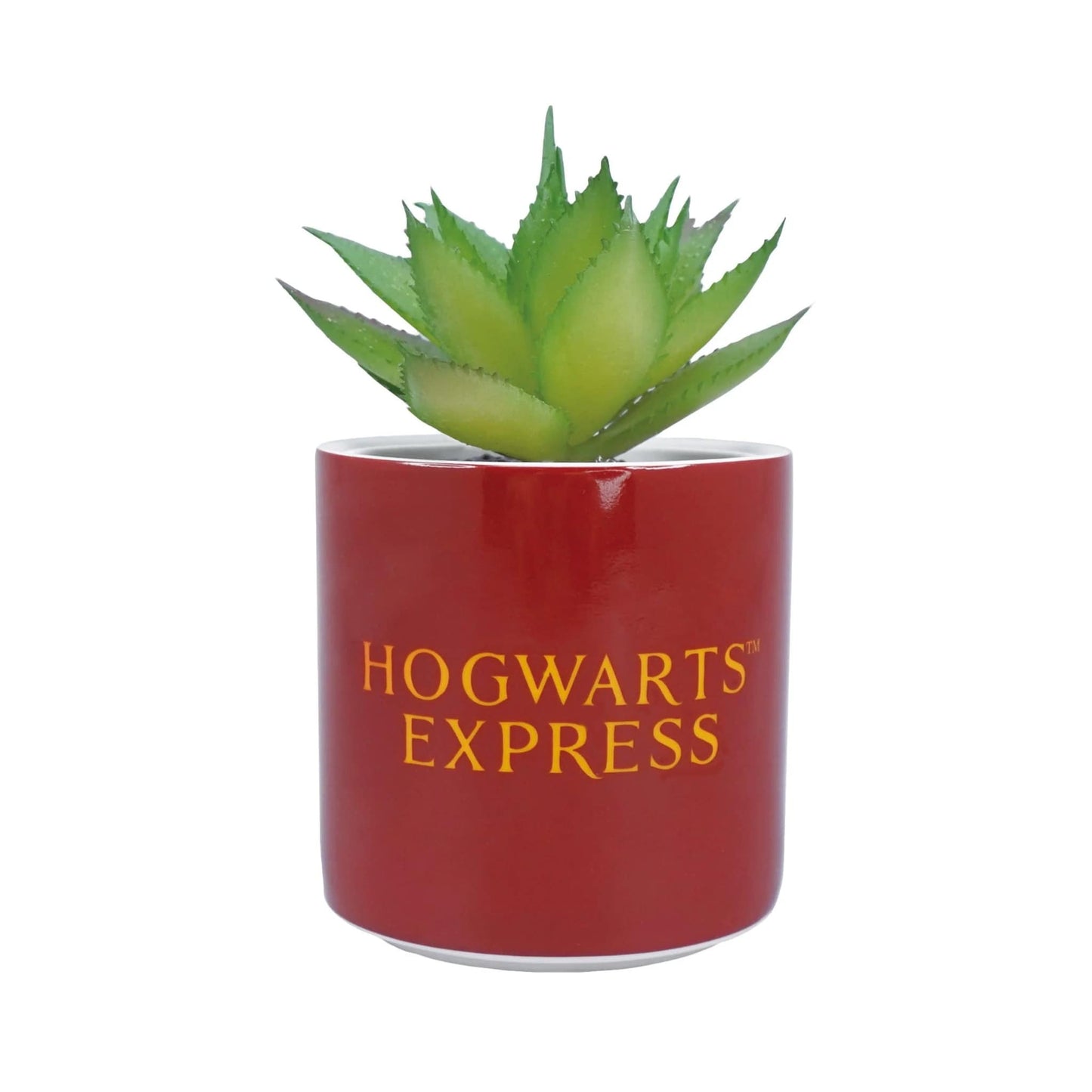 Planta decorativa Harry Potter Platform 9 3/4