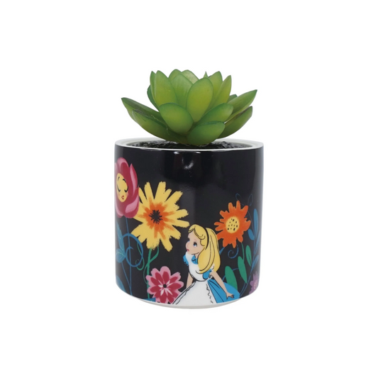 Planta decorativa Alice in Wonderland