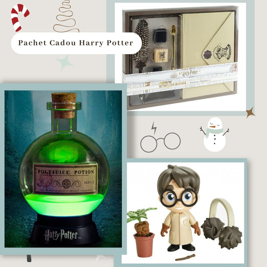 Pachet Cadou Harry Potter