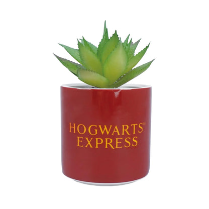 Planta decorativă Harry Potter, vedere din spate cu textul Hogwarts Express