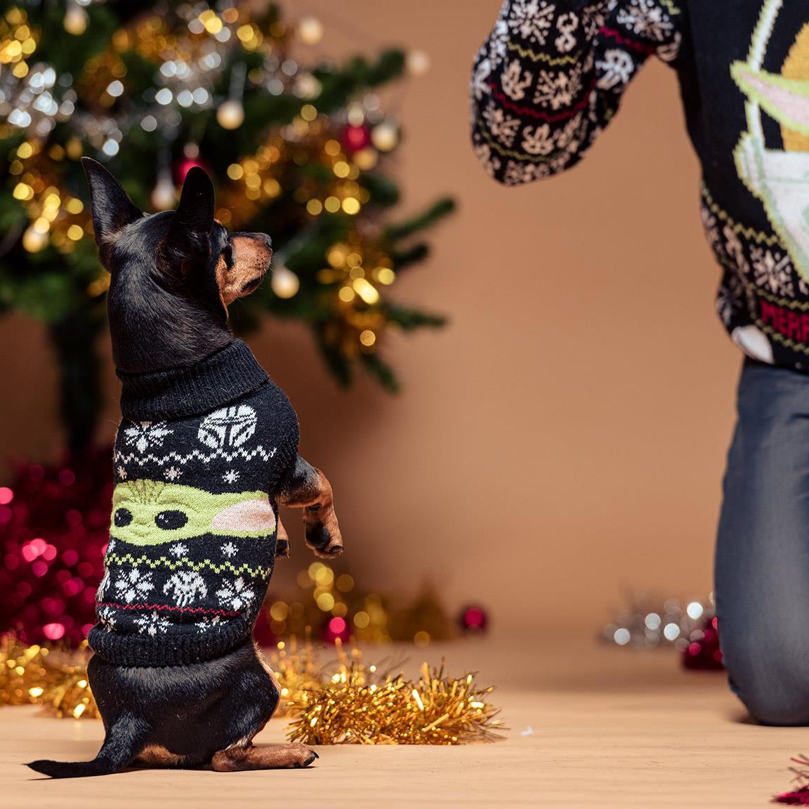 Pulover tricotat pentru caini The Mandalorian - diverse marimi